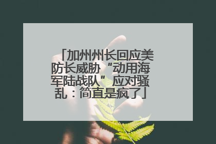 加州州长回应美防长威胁“动用海军陆战队”应对骚乱：简直是疯了