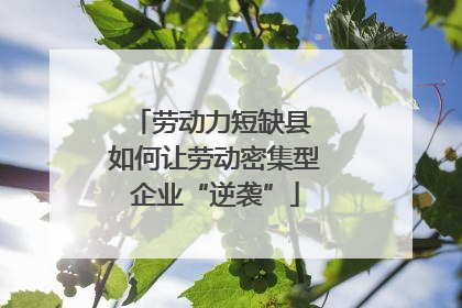 劳动力短缺县 如何让劳动密集型企业“逆袭”