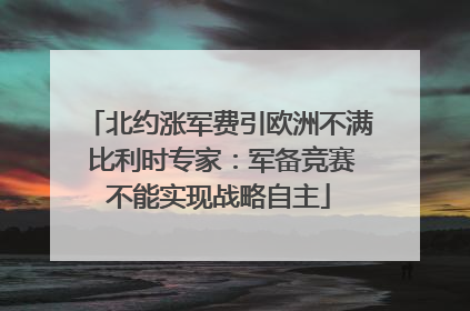 北约涨军费引欧洲不满 比利时专家：军备竞赛不能实现战略自主