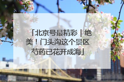 北京号最精彩｜绝美！门头沟这个景区芍药已花开成海
