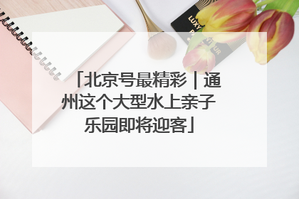 北京号最精彩｜通州这个大型水上亲子乐园即将迎客