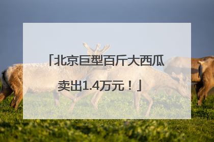 北京巨型百斤大西瓜卖出1.4万元！