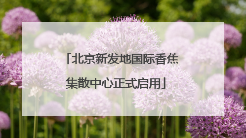 北京新发地国际香蕉集散中心正式启用