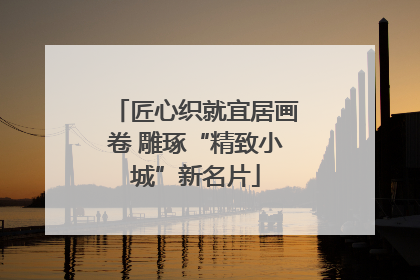 匠心织就宜居画卷 雕琢“精致小城”新名片