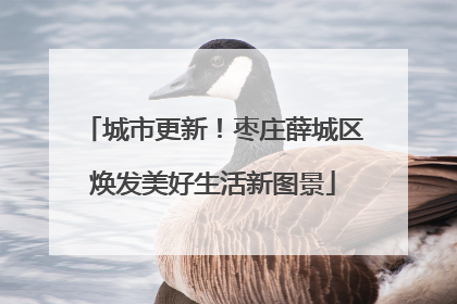 城市更新！枣庄薛城区焕发美好生活新图景