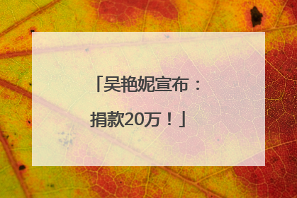 吴艳妮宣布：捐款20万！