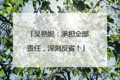 吴艳妮：承担全部责任，深刻反省！