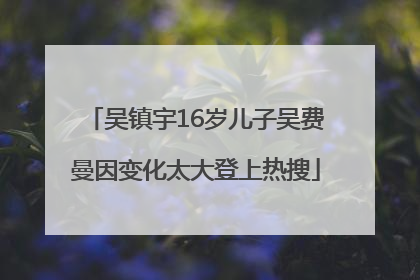 吴镇宇16岁儿子吴费曼因变化太大登上热搜