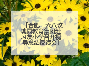 合肥一六八玫瑰园教育集团赴习友小学召开视导总结反馈会
