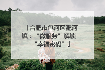 合肥市包河区淝河镇：“微服务”解锁“幸福密码”