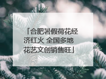 合肥暑假荷花经济红火 全国多地花艺文创销售旺