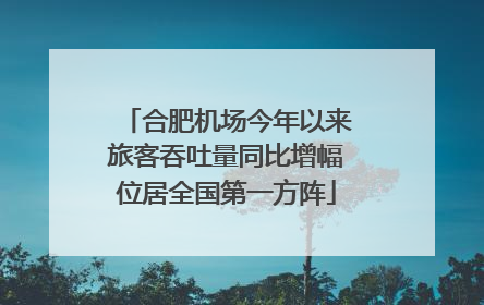 合肥机场今年以来旅客吞吐量同比增幅位居全国第一方阵