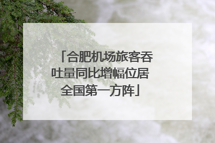 合肥机场旅客吞吐量同比增幅位居全国第一方阵