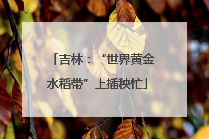 吉林：“世界黄金水稻带”上插秧忙