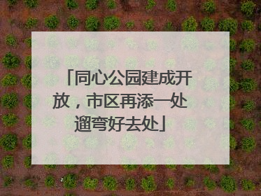 同心公园建成开放，市区再添一处遛弯好去处