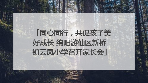 同心同行，共促孩子美好成长 绵阳游仙区新桥镇云凤小学召开家长会