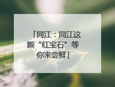 同江：同江这颗“红宝石”等你来尝鲜