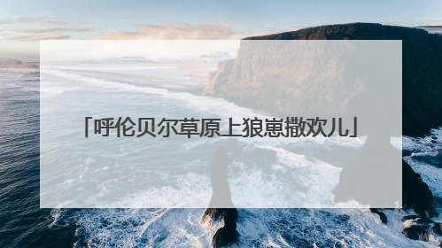 呼伦贝尔草原上狼崽撒欢儿