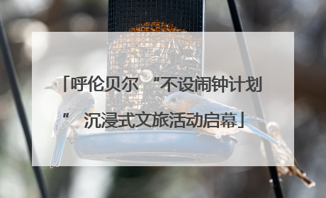 呼伦贝尔 “不设闹钟计划” 沉浸式文旅活动启幕