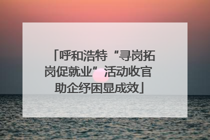 呼和浩特“寻岗拓岗促就业”活动收官 助企纾困显成效