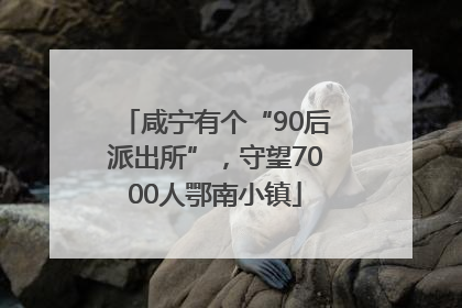 咸宁有个“90后派出所”，守望7000人鄂南小镇