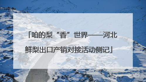 咱的梨“香”世界——河北鲜梨出口产销对接活动侧记