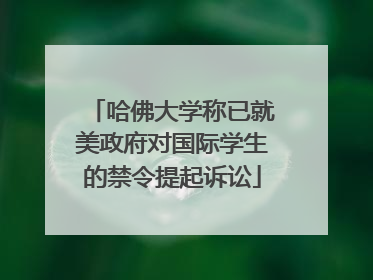 哈佛大学称已就美政府对国际学生的禁令提起诉讼