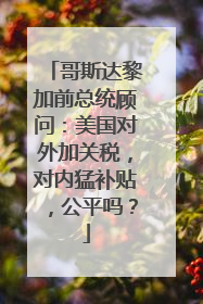 哥斯达黎加前总统顾问：美国对外加关税，对内猛补贴，公平吗？