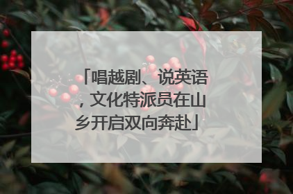 唱越剧、说英语，文化特派员在山乡开启双向奔赴