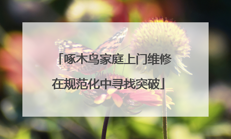 啄木鸟家庭上门维修在规范化中寻找突破