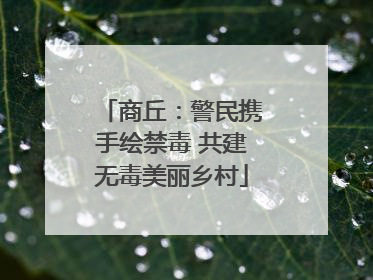 商丘：警民携手绘禁毒 共建无毒美丽乡村