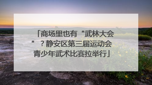 商场里也有“武林大会”？静安区第三届运动会青少年武术比赛拉举行