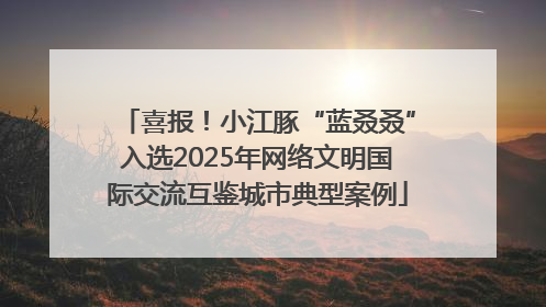 喜报！小江豚“蓝叒叒”入选2025年网络文明国际交流互鉴城市典型案例
