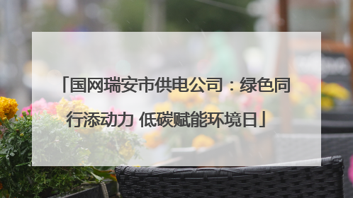 国网瑞安市供电公司：绿色同行添动力 低碳赋能环境日