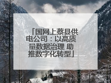 国网上蔡县供电公司：以高质量数据治理 助推数字化转型