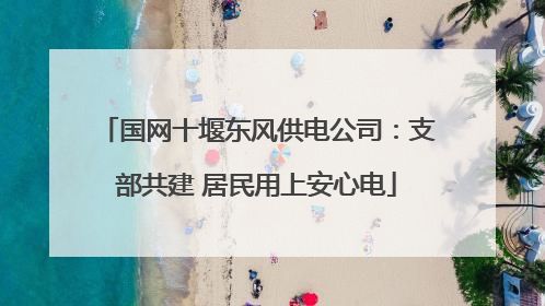 国网十堰东风供电公司：支部共建 居民用上安心电