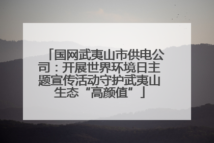 国网武夷山市供电公司：开展世界环境日主题宣传活动守护武夷山生态“高颜值”