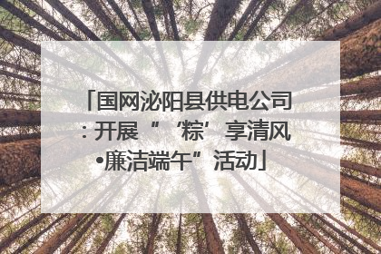 国网泌阳县供电公司：开展“‘粽’享清风 •廉洁端午”活动