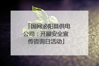 国网泌阳县供电公司：开展安全宣传咨询日活动