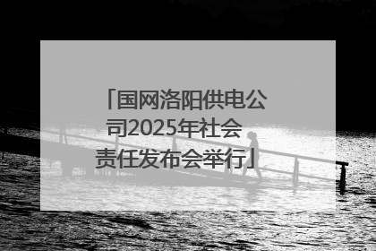 国网洛阳供电公司2025年社会责任发布会举行