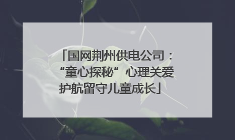 国网荆州供电公司：“童心探秘”心理关爱护航留守儿童成长