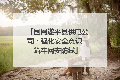 国网遂平县供电公司：强化安全意识 筑牢网安防线