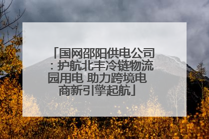 国网邵阳供电公司：护航北丰冷链物流园用电 助力跨境电商新引擎起航