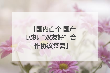 国内首个 国产民机“双友好”合作协议签署