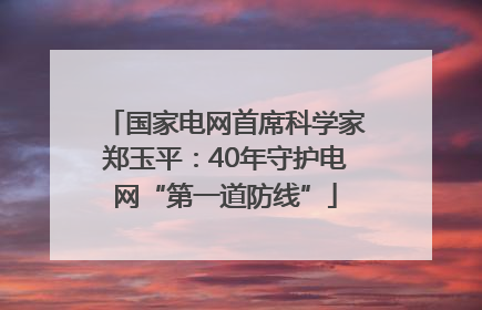 国家电网首席科学家郑玉平：40年守护电网“第一道防线”