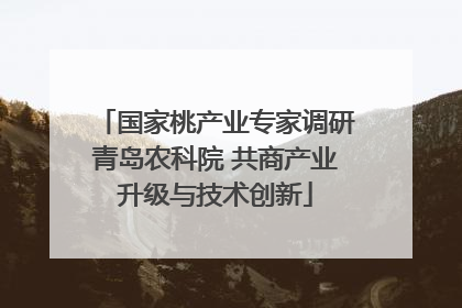 国家桃产业专家调研青岛农科院 共商产业升级与技术创新