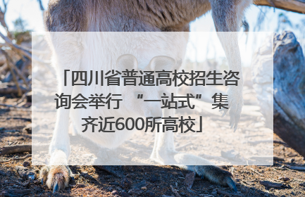 四川省普通高校招生咨询会举行 “一站式”集齐近600所高校