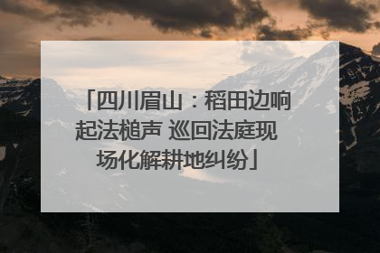 四川眉山：稻田边响起法槌声 巡回法庭现场化解耕地纠纷