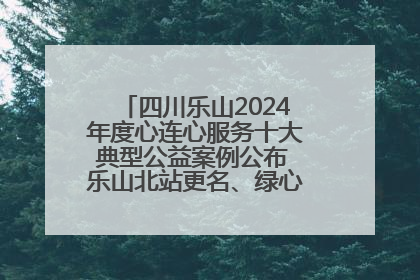四川乐山2024年度心连心服务十大典型公益案例公布 乐山北站更名、绿心路井盖治理等上榜