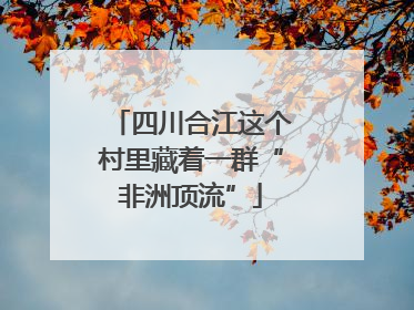 四川合江这个村里藏着一群“非洲顶流”